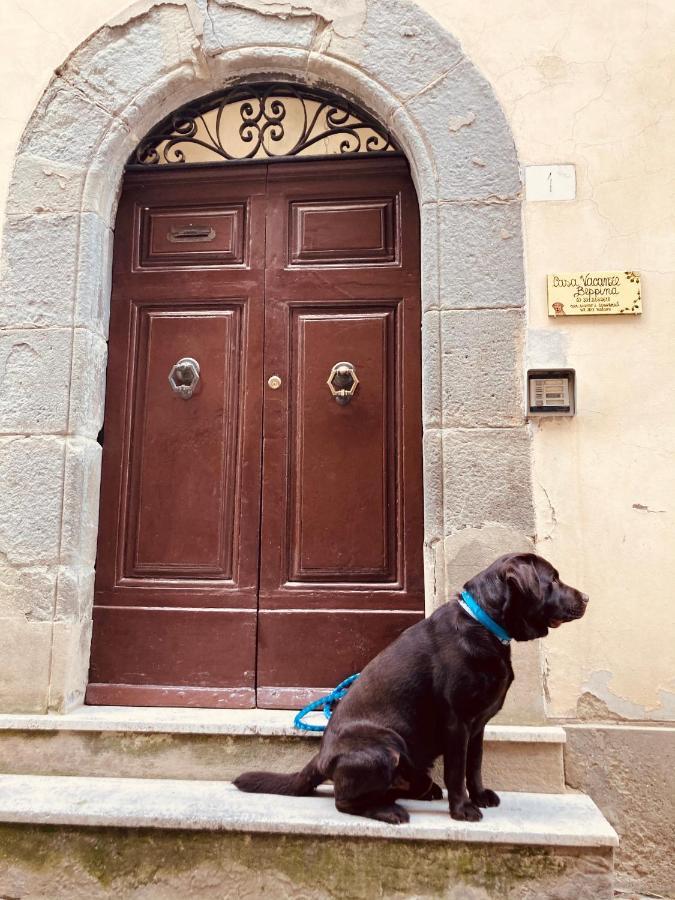 Casa Vacanze Beppina Cortona Exterior photo